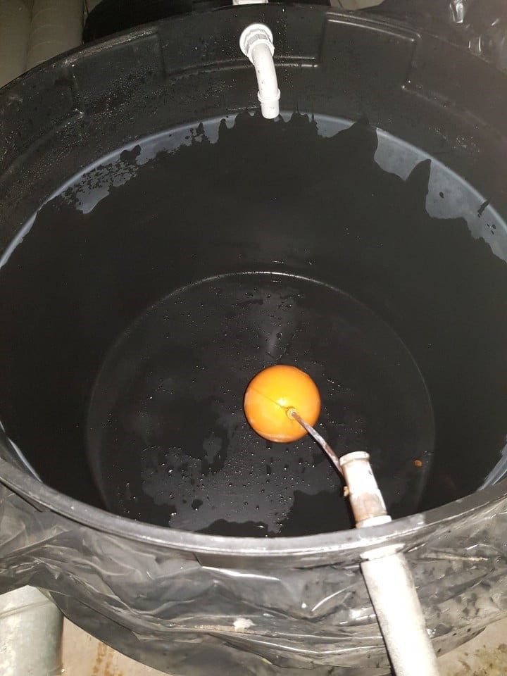 cistern disinfection Cistern disinfection