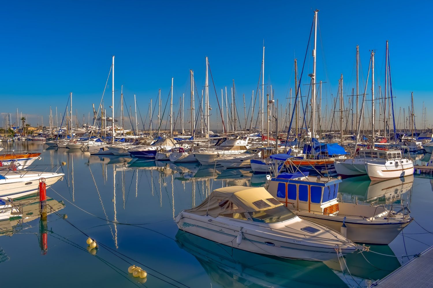 Boats in a harbour on a sunny day