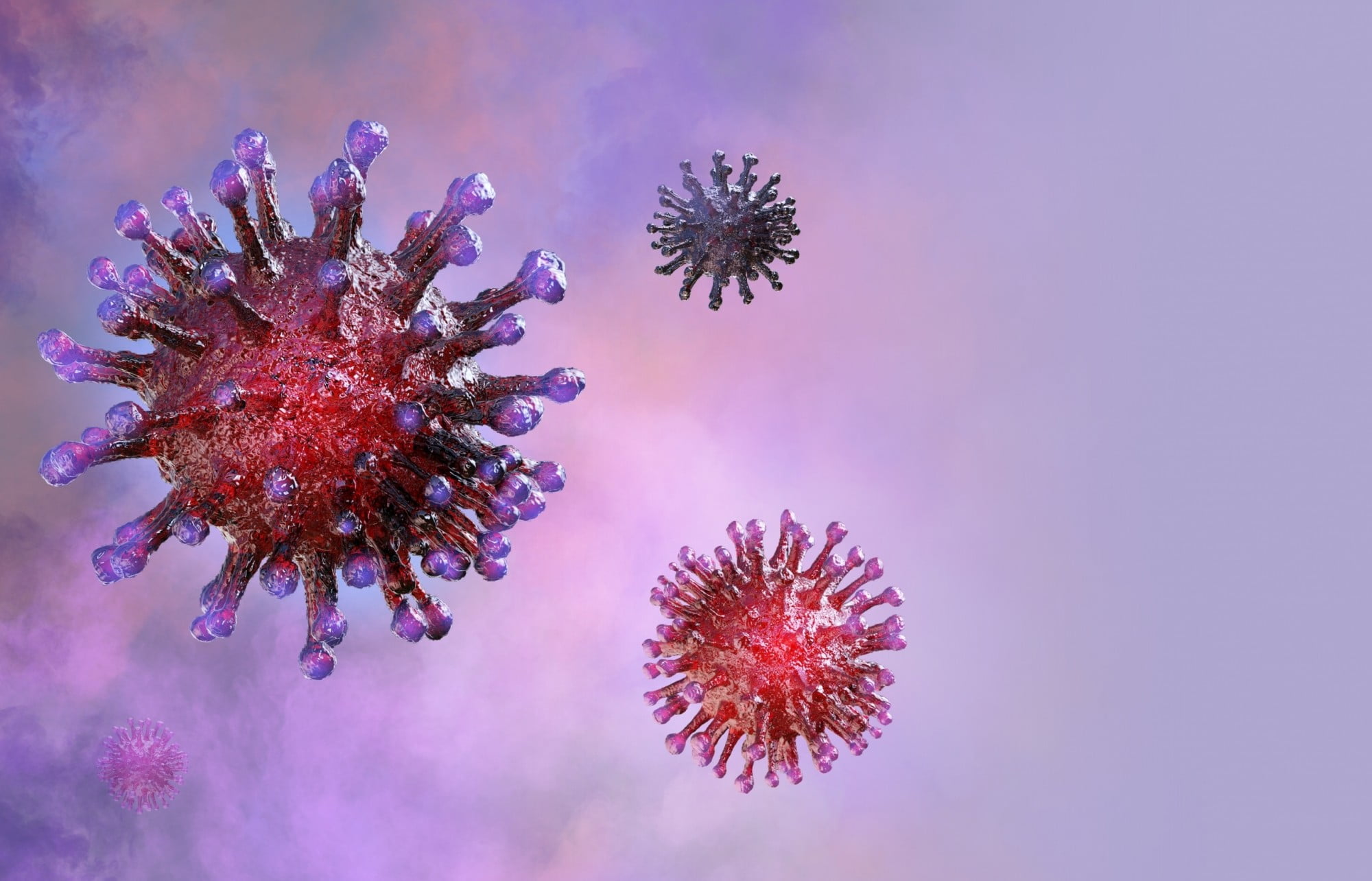 A Virus